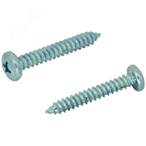 Шуруп DIN7981 4,8х70 полукруглая головка, остроконечный (250шт) Партнер 17740