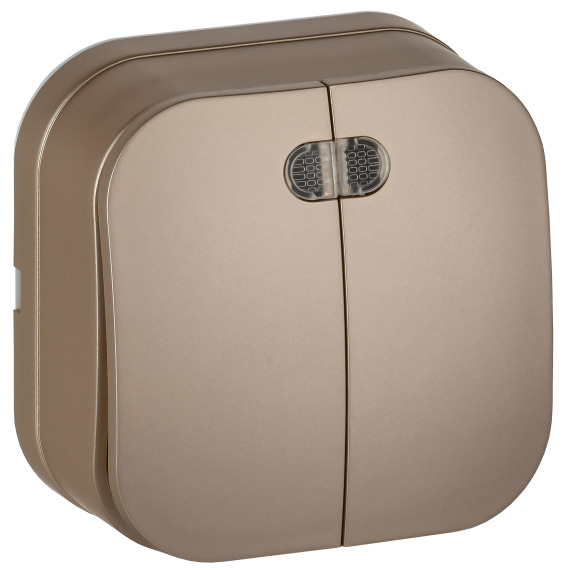 GLORY Выключатель 2-клавишный для открытой установки с индикацией 10А ВС20-2-1-ХШм шампань матовый IEK