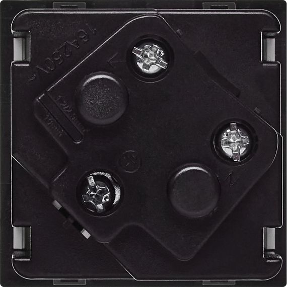 Розетка 45град с заземляющим контактом защитной шторкой и винтовым зажимом (2 модуля) белая