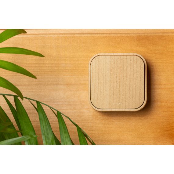 QUTEO Выключатель 1-клавишный для открытой установки проходной 10А дерево