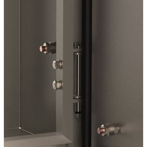 Петли из нержавеющей стали уникальной конструкции. Перенавешиваемая дверь.