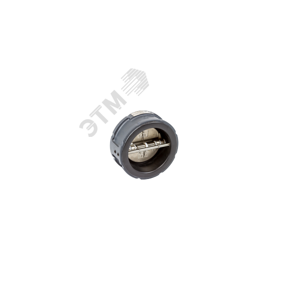 Затвор обратный - ЗОД PN16 DN 600 чуг (пр. класс 0821010628) Ридан 082X4043R