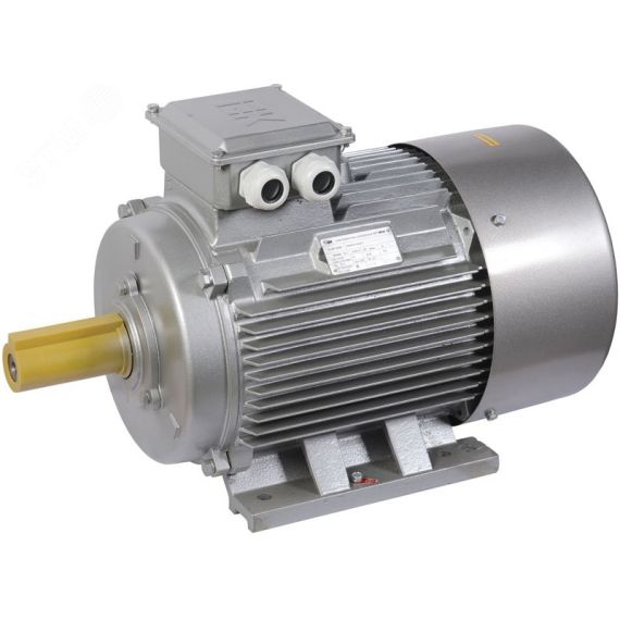 Электродвигатель трехфазный АИР 315MA2 660В 200кВт 3000об/мин 1081 DRIVE ONI DRV315-M2-200-0-3010