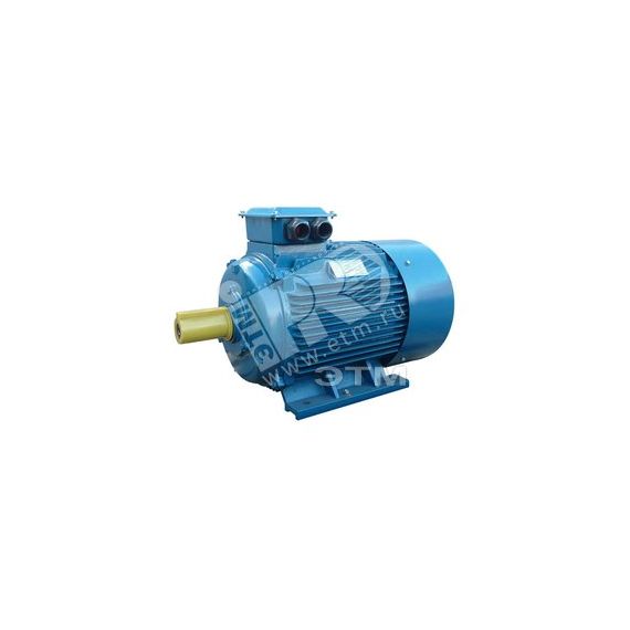 Электродвигатель 5АИ 250 S6 45/1000 IM 1001 Elcom 01.01.213756