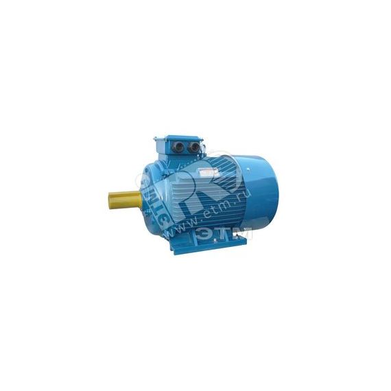 Электродвигатель 5АИ 225 М2 55/3000 IM 1001 Elcom 01.01.213659