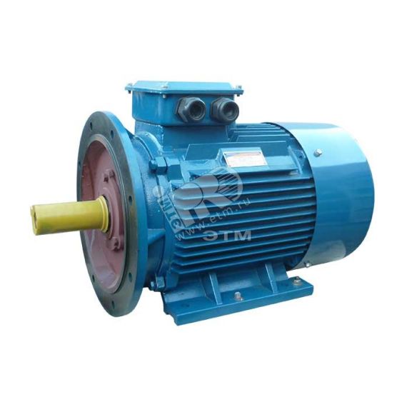 Электродвигатель 5АИ 200 L2 45/3000 IM 2001 Elcom 01.01.213644