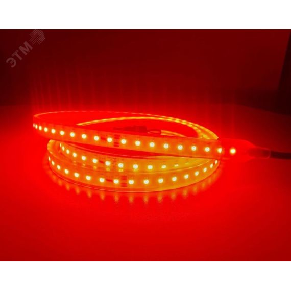 Светодиодная лента RSD РВ Ex, 15Вт/м, 127В, 10м, красная РИКОМ ООО RSD-Ex-mb-PB-15W-127V АC-10-R