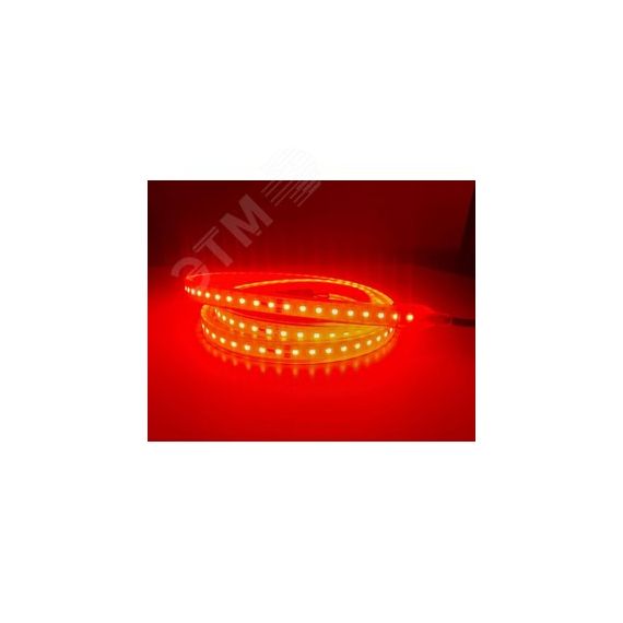 Светодиодная лента RSD РВ Ex, 15Вт/м, 127В, 10м, красная РИКОМ ООО RSD-Ex-mb-PB-15W-127V АC-10-R