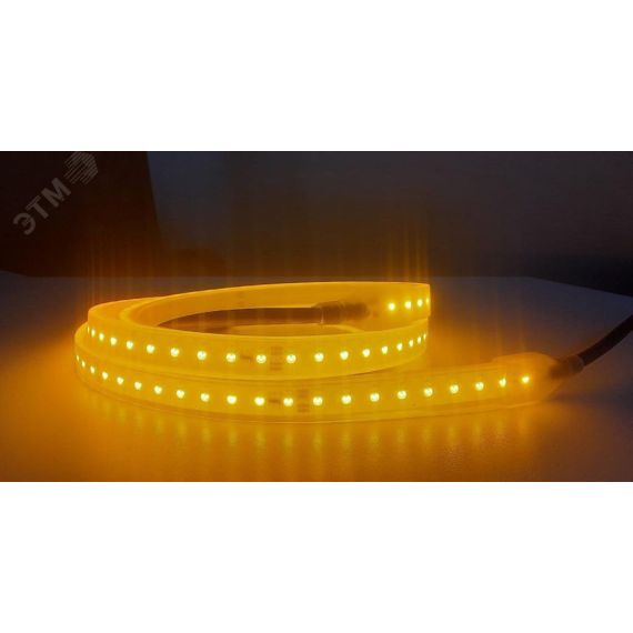 Светодиодная лента RSD РВ Ex, 15Вт/м, 127В, 5м, желтая, кабель питания и соединения с каждой стороны до 900cм РИКОМ ООО RSD-Ex-mb-PB-15W-127V АC-5-Y-900