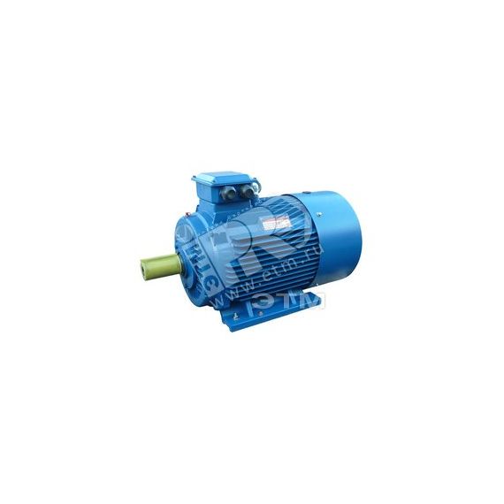 Электродвигатель 5АИ 180 М2 30/3000 IM 1001 Elcom 01.01.213464