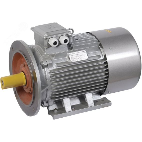 Электродвигатель трехфазный АИР 180S2 660В 22кВт 3000об/мин 2081 DRIVE ONI DRV180-S2-022-0-3020