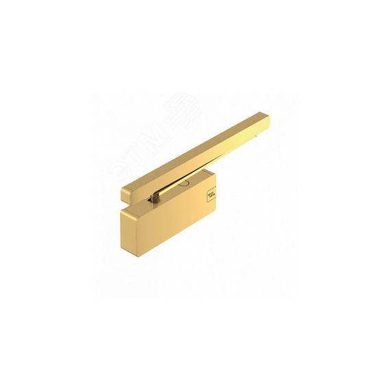 Доводчик кулачковый TS 92 XEA 1-4 G золотой P750 dorma(dormakaba) 42210105