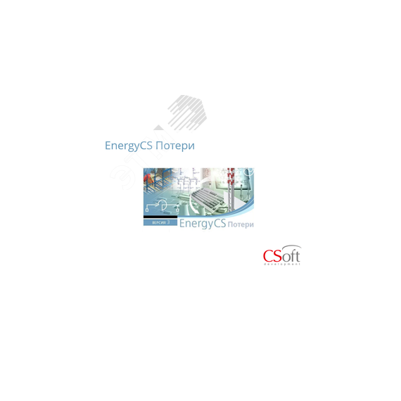 Право на использование программного обеспечения EnergyCS Потери (Subscription (1 год)) Нанософт АО ENXPOS-CT-10000000