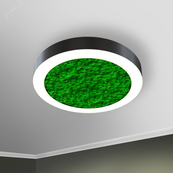 Светильник светодиодный RVE-LBX-MOSS-RING-900-N (Кольцо 900х900х100мм S80мм 62Вт Накладной 4000К Белый) RVElektro RVE00002144