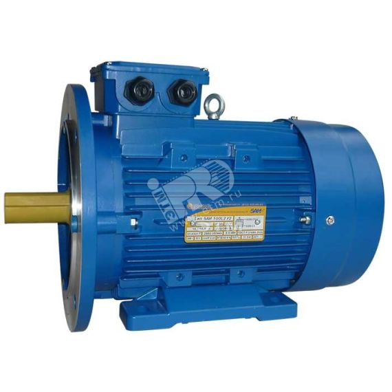 Электродвигатель 5АИ 100 S2 4/3000 IM 2081 Elcom 01.01.213556