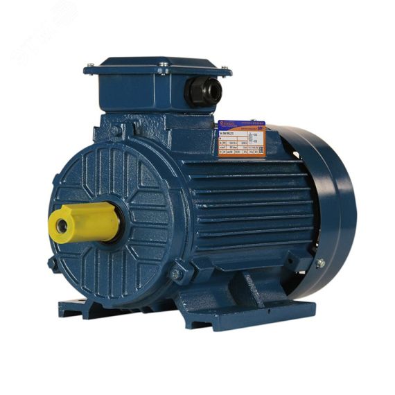 Электродвигатель 5АИ 100 L6 2.2/1000 IM 1081 Elcom 01.01.213619
