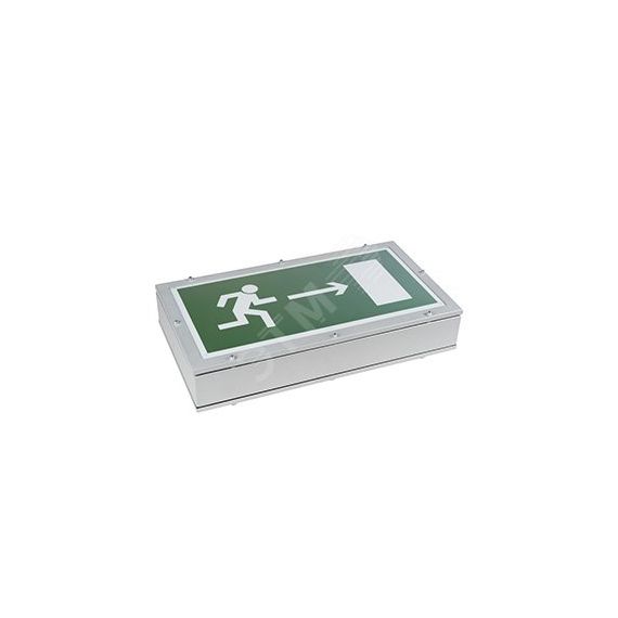 Световой указатель BS-FLAGMAN-51-S1-INEXI2 Белый свет a16720