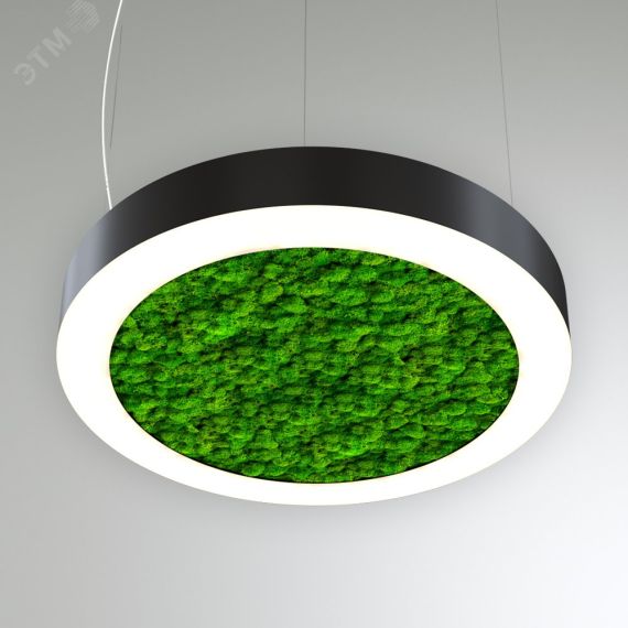 Светильник светодиодный RVE-LBX-MOSS-RING-600х80мм 41Вт Подвесной 4000К белый) RVElektro RVE00000529