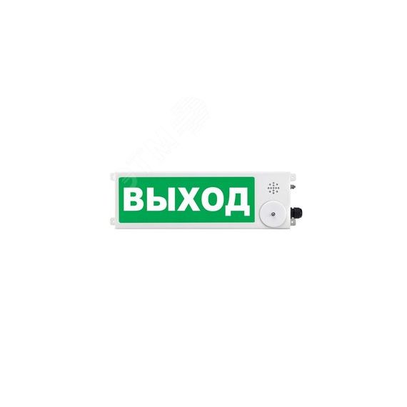 Оповещатель взрывозащищенный светоое табло        ТСВ-Exm-М-Прометей, ''Шыгу/Выход'', З/Б, 12-36В Спектрон ТСВ-Exm-М-П 12-36В ШЫГУ/Выход З/Б