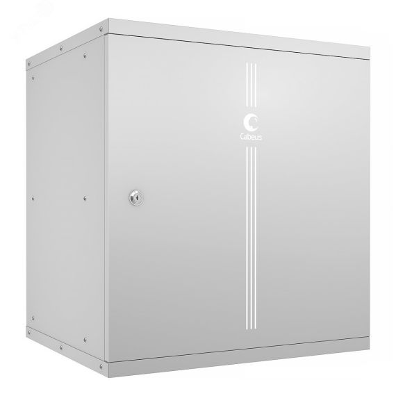 Шкаф телекоммуникационный настенный 19дюймов 12U Cabeus WSC-05D-12U55/45m