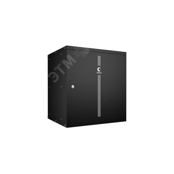 Шкаф телекоммуникационный настенный 19дюймов 12U Cabeus WSC-05D-12U55/45m-BK