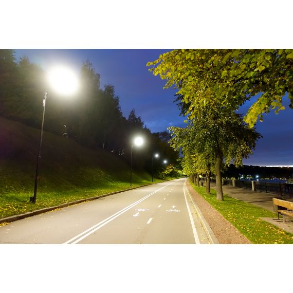 Светильник светодиодный консольный ДКУ 1014-100Ш 5000К IP65 IEK