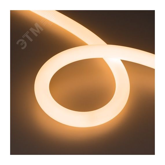 Лента герметичная MOONLIGHT-TOP-FP-X1088-D25mm 24V Warm2300 (20 W/m, IP65, 5m, wire x1) (Arlight, Вывод прямой, 3 года) Arlight 038865