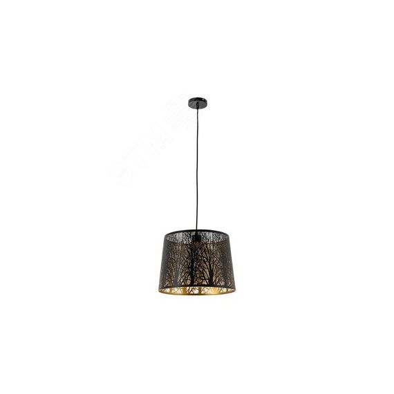 Светильник CELESTA Arte Lamp A2769SP-1BK