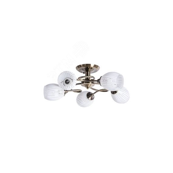 Люстра ARYA Arte Lamp A2941PL-5AB