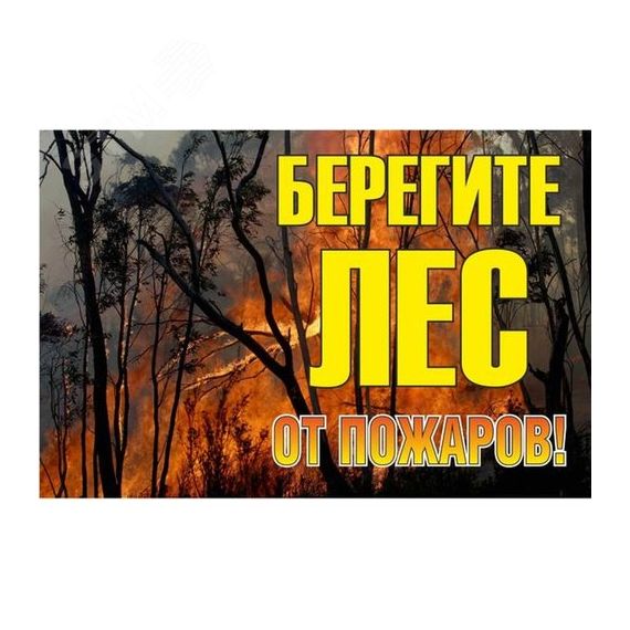 Знак ''Берегите лес от огня!'' 1200х800 мм EKF zn-1-02