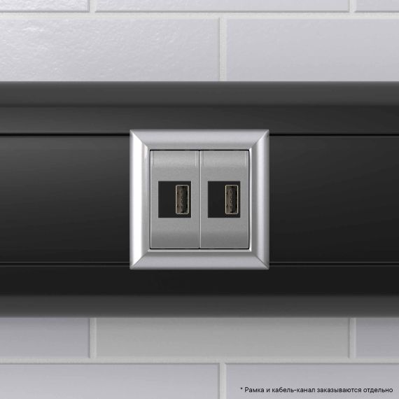 USB зарядное устройство модульное,  &quot;Avanti&quot;, &quot;Закаленная сталь&quot;, 2модуля, 2.1 А