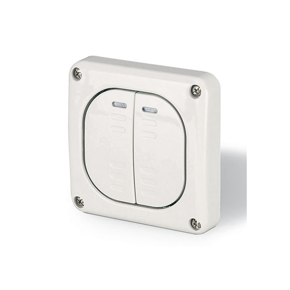 Переключатель однополюсный, двухклавишный