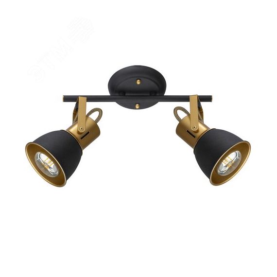 Спот JOVI Arte Lamp A1677PL-2GO