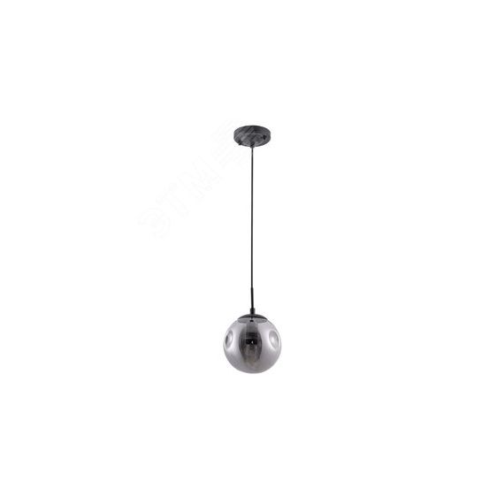 Светильник TUREIS Arte Lamp A9915SP-1BK