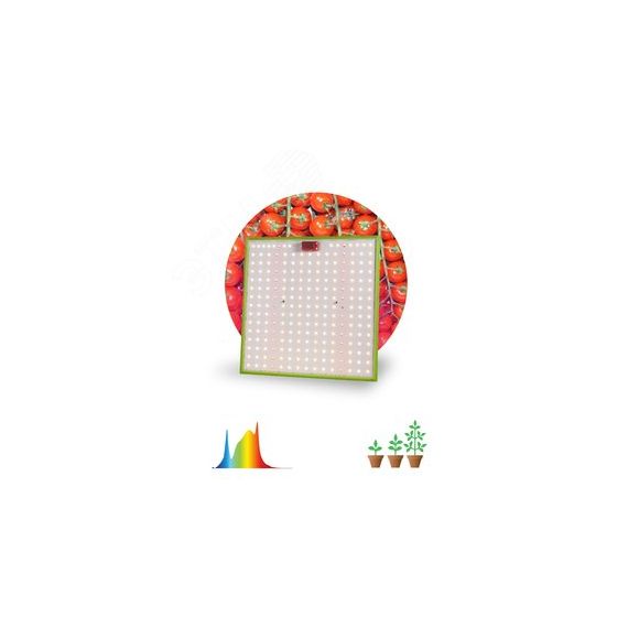 Фитопрожектор для растений светодиодный FITO-80W-LED-QB Quantum board ЭРА Б0053285