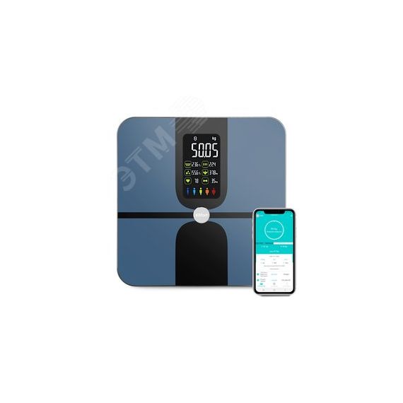 Напольные весы KT-816, Минимальный вес 5 кг, Максимальный вес 180 кг KITFORT КТ-816