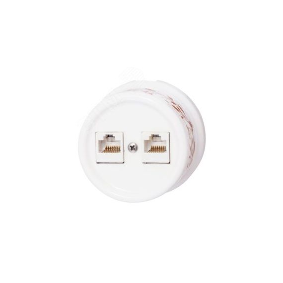 Розетка Лизетта RJ45 информационная двойная, керамика, цвет белый, декор D6/2 Бирони B1-302-01-D6/2