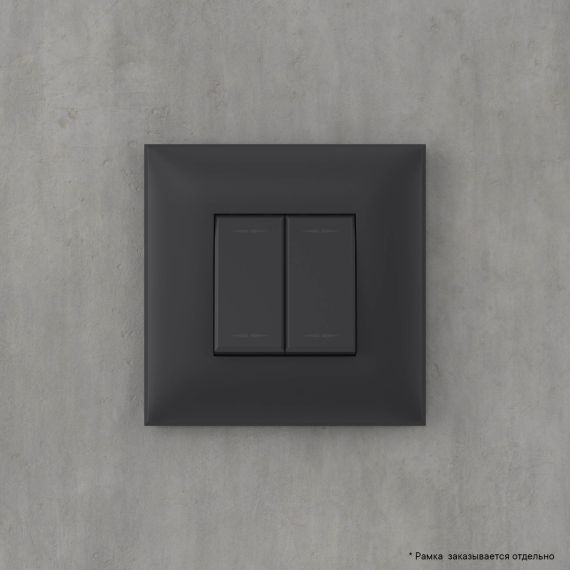 Инвертор двухклавишный в стену, &quot;Avanti&quot;, &quot;Черный матовый&quot;