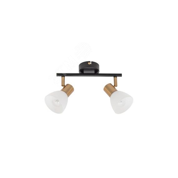 Спот FALENA Arte Lamp A3117PL-2BK