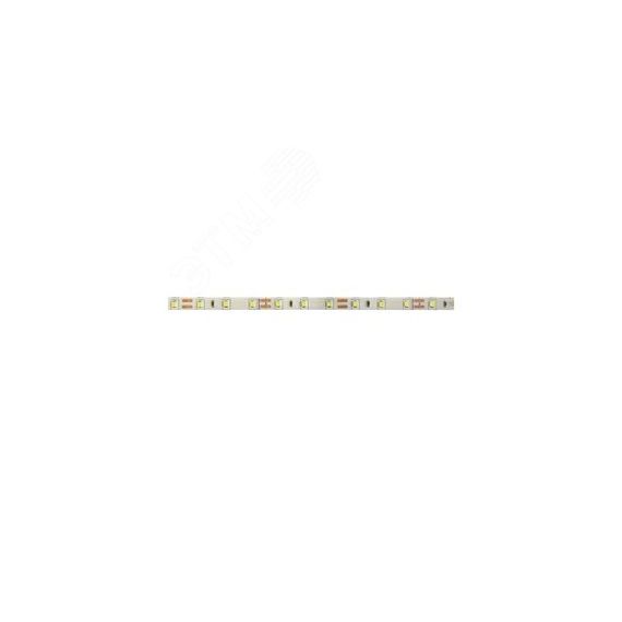 Лента светодиодная PLS PRO 2835/168-24V - 6000K IP20 5m Jazzway JazzWay 5015777