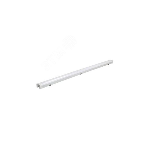 Светильник светодиодный влагозащищенный ДСП-20Вт  6500К 2320Лм 600 IP65 SHOPLIGHT Jazzway JazzWay 5039322