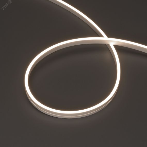 Лента герметичная MOONLIGHT-SIDE-A168-4x10mm 24V Day4000 (7.2 W/m, IP65, 5m, wire x2) (Arlight, Вывод кабеля прямой) Arlight 038312