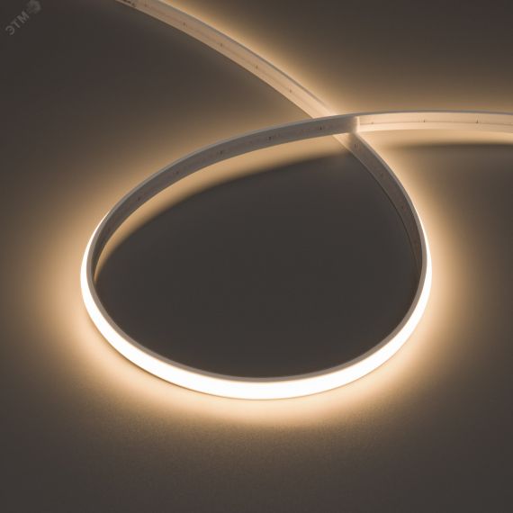Лента герметичная MOONLIGHT-TOP-M280-10x5mm 24V Warm3000 (15 W/m, IP65, 5m, wire x1) (Arlight, Вывод кабеля прямой) Arlight 041522