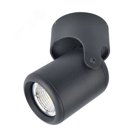 Светильник LIBRA Arte Lamp A3316PL-1BK