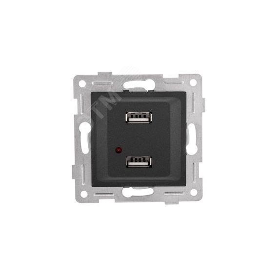 GUSI Ugra механизм розетки USB,  двойной,  скрытая  установка. Цвет  графит. GUSI Electric С11USB2-010