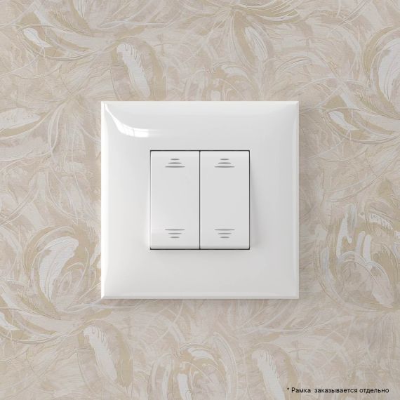 Инвертор двухклавишный в стену, &quot;Avanti&quot;, &quot;Белое облако&quot;