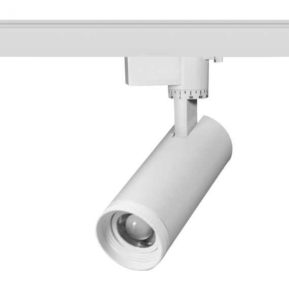 Светильник трековый однофазный TR59 - 3030 WH светодиодный 30Вт 3000К белый ЭРА Б0054445