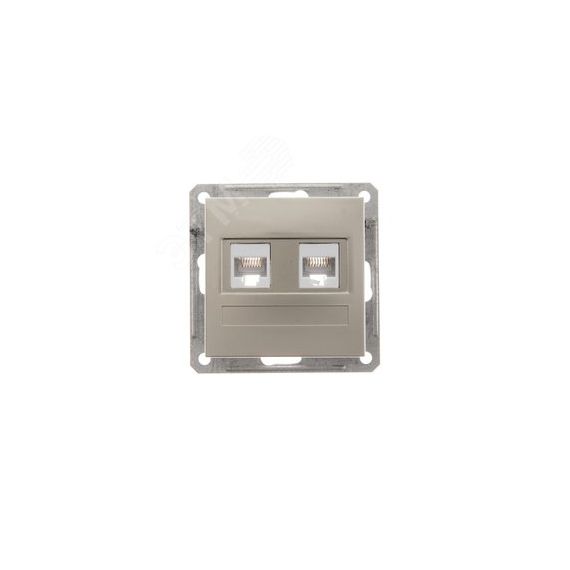W59 Розетка двойная компьютерная категория 5е скрытая в рамку шампань SE (Systeme) RSI-251KK5E-4-86