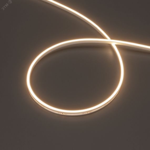 Лента герметичная MOONLIGHT-SIDE-T-M196-03x06mm 24V Warm3000 (7.2 W/m, IP54, 2216, 5m, wire x2) (Arlight, Вывод кабеля прямой) Arlight 039570