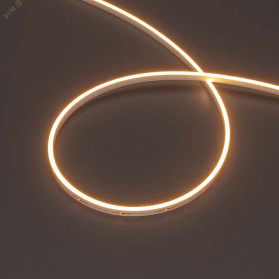 Лента герметичная MOONLIGHT-SIDE-M196-03x06mm 24V Warm2300 (7.2 W/m, IP54, 2216, 5m, wire x2) (Arlight, Вывод кабеля прямой) Arlight 039568
